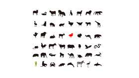 动物剪影幻灯片小图片素材