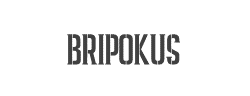 BRIPOKUS字体