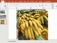 ppt排版设计技巧