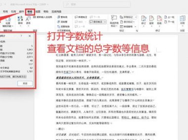 word怎么看字数？word字数统计避坑及解答